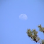 Moon over Gloucester MA