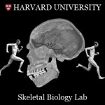 Harvard Skeletal Biology
