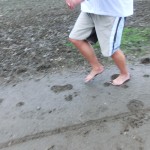 Bernard in the mud