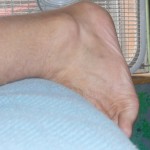 Toes pushing against mattress gently, many reps