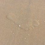 Footprint in the sand – International Barefoot Running Day (2011 May 1) Huntington Beach CA