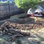 Ken Bob's campsite behind the removed tree stump