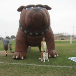 Big Dog, Cathy, and Herman
