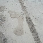 Mud foot prints