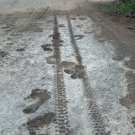 Foot prints, and other tracks in the mud