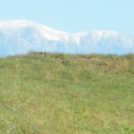 Chino Hills State Park with snow covered mountains in background