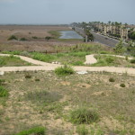 IMG_4073 Bolsa Chica Wetlands, modern switchback trail