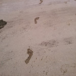 2014 December 13 Ken Bob's Regular Run, muddy footprints