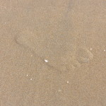 IBRD Low-Tide Run foot print