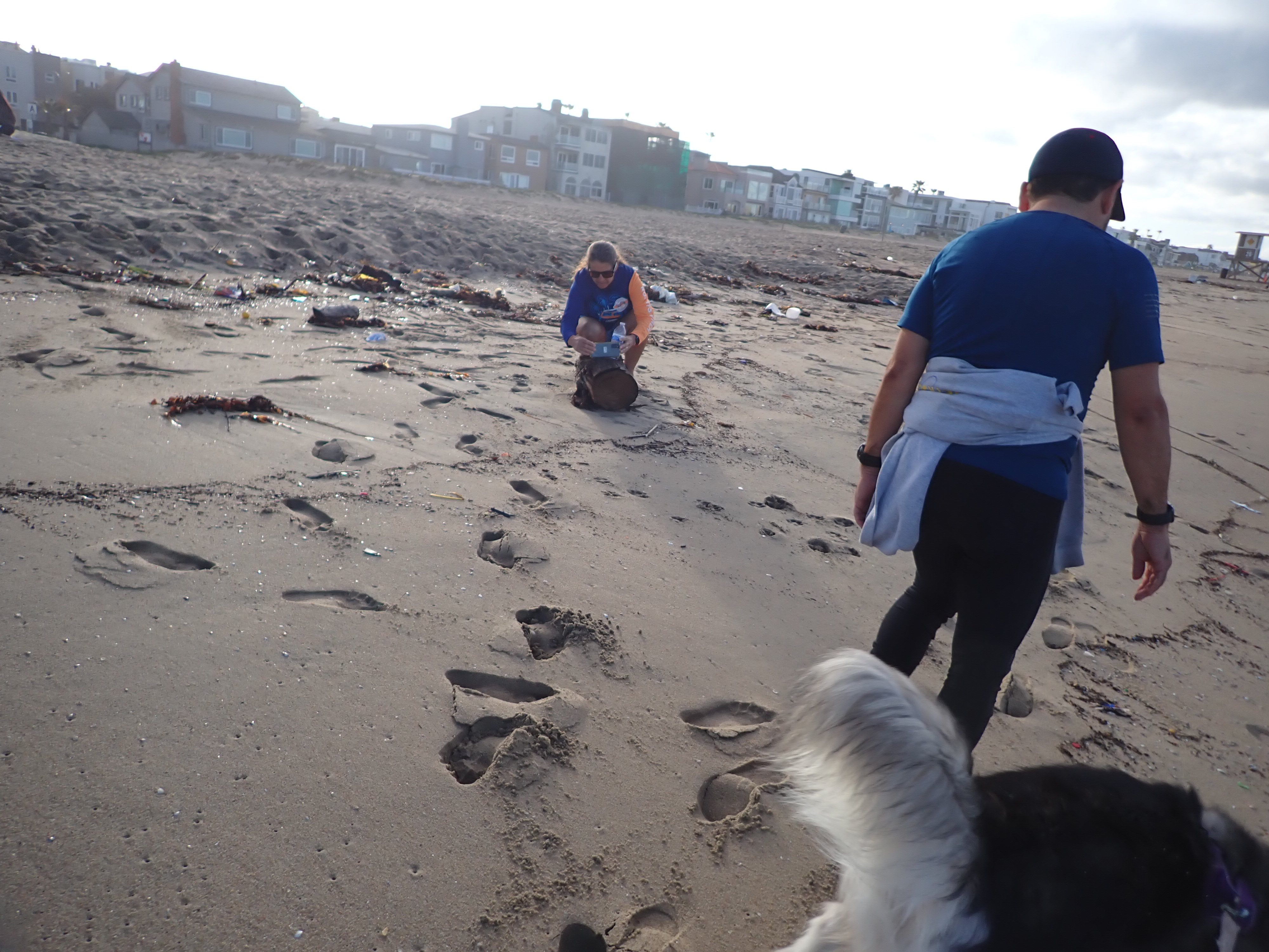 Cat (distracted by flotsam on the beach), Jose, and Kay's fluffy tail