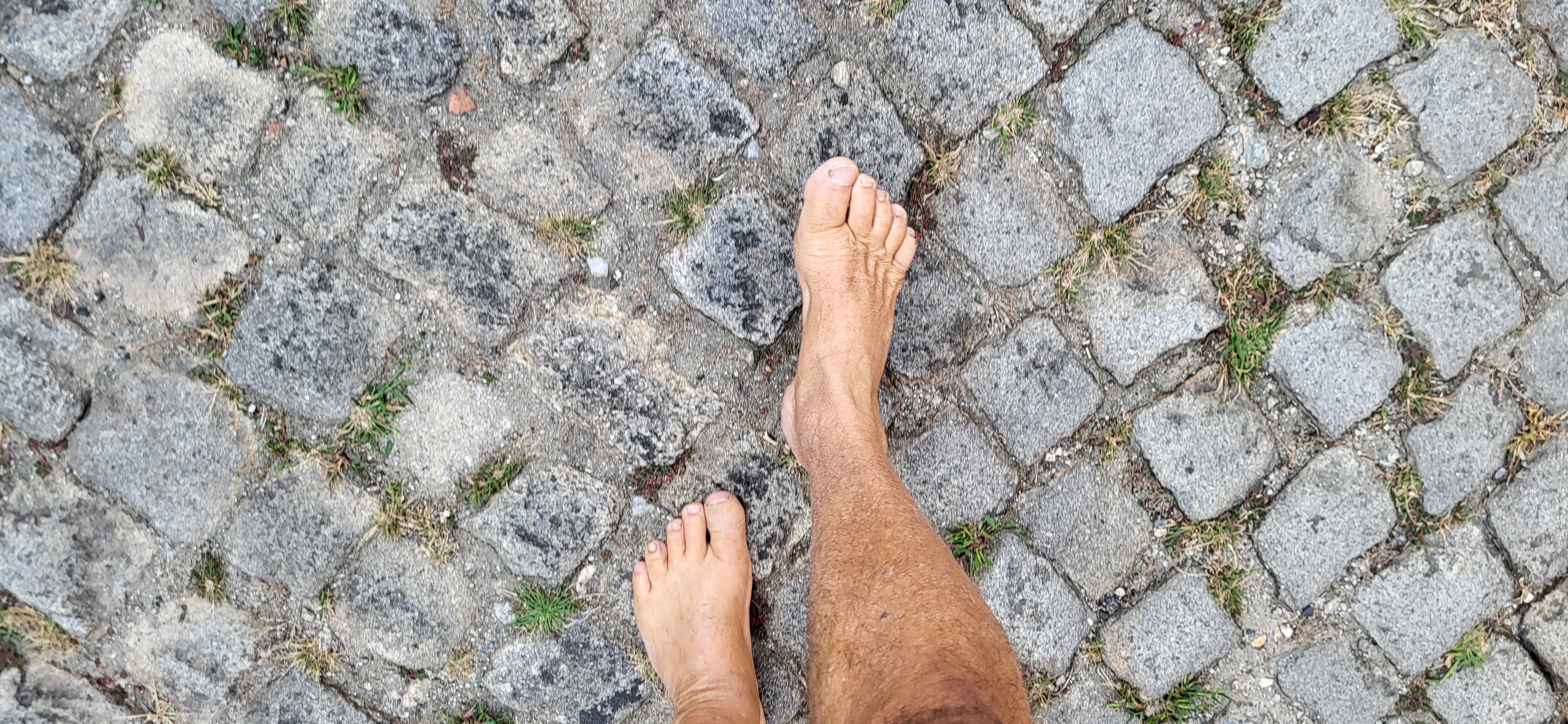 2024 Sep 19 - Nice Grassy Cobblestone