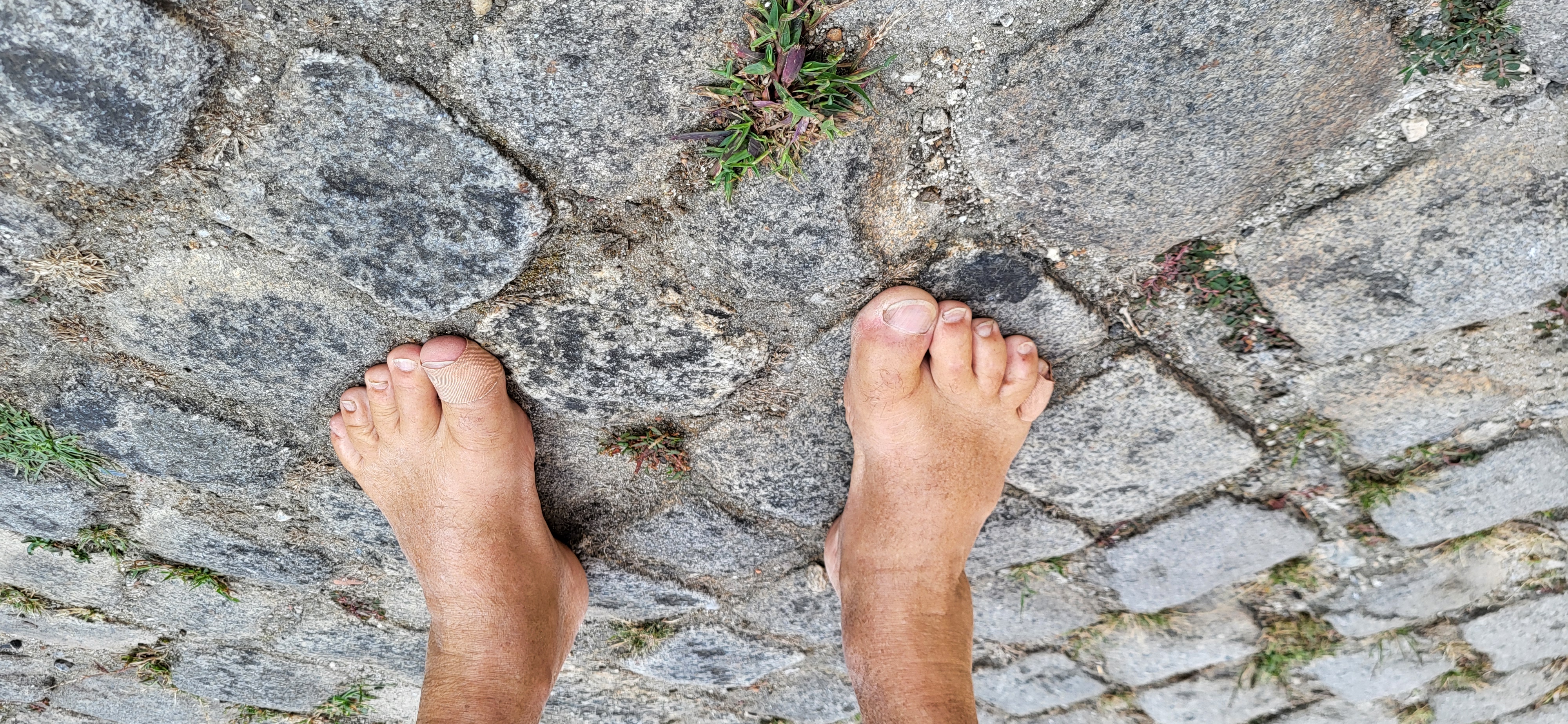 2024 Sep 19 - Ken Bob's Feet on Grassy Cobblestone