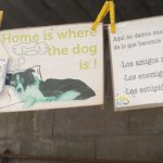 2024 Sep 27 – Home is Where the Dog Is