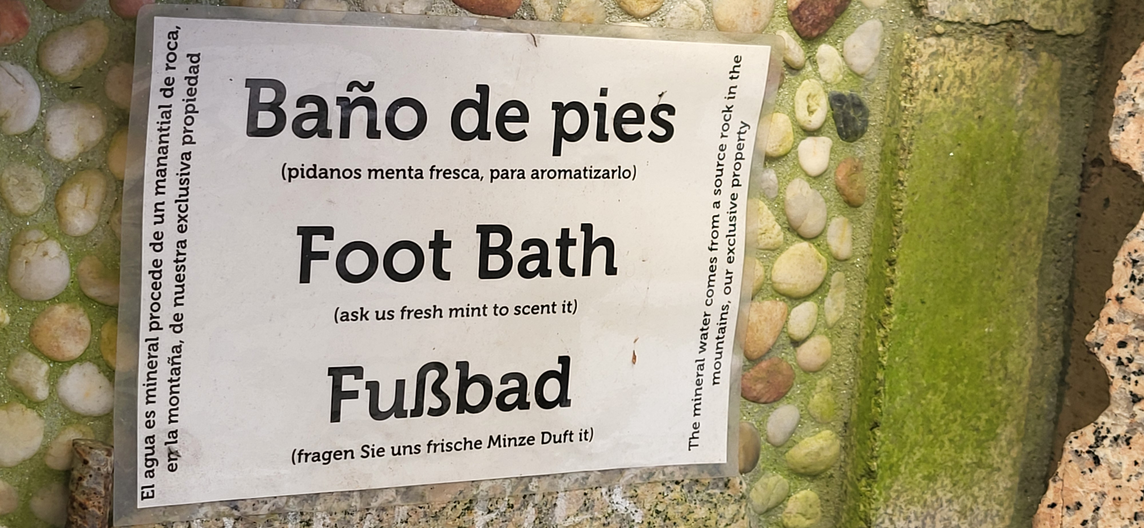 2024 Sep 27 - Foot Bath