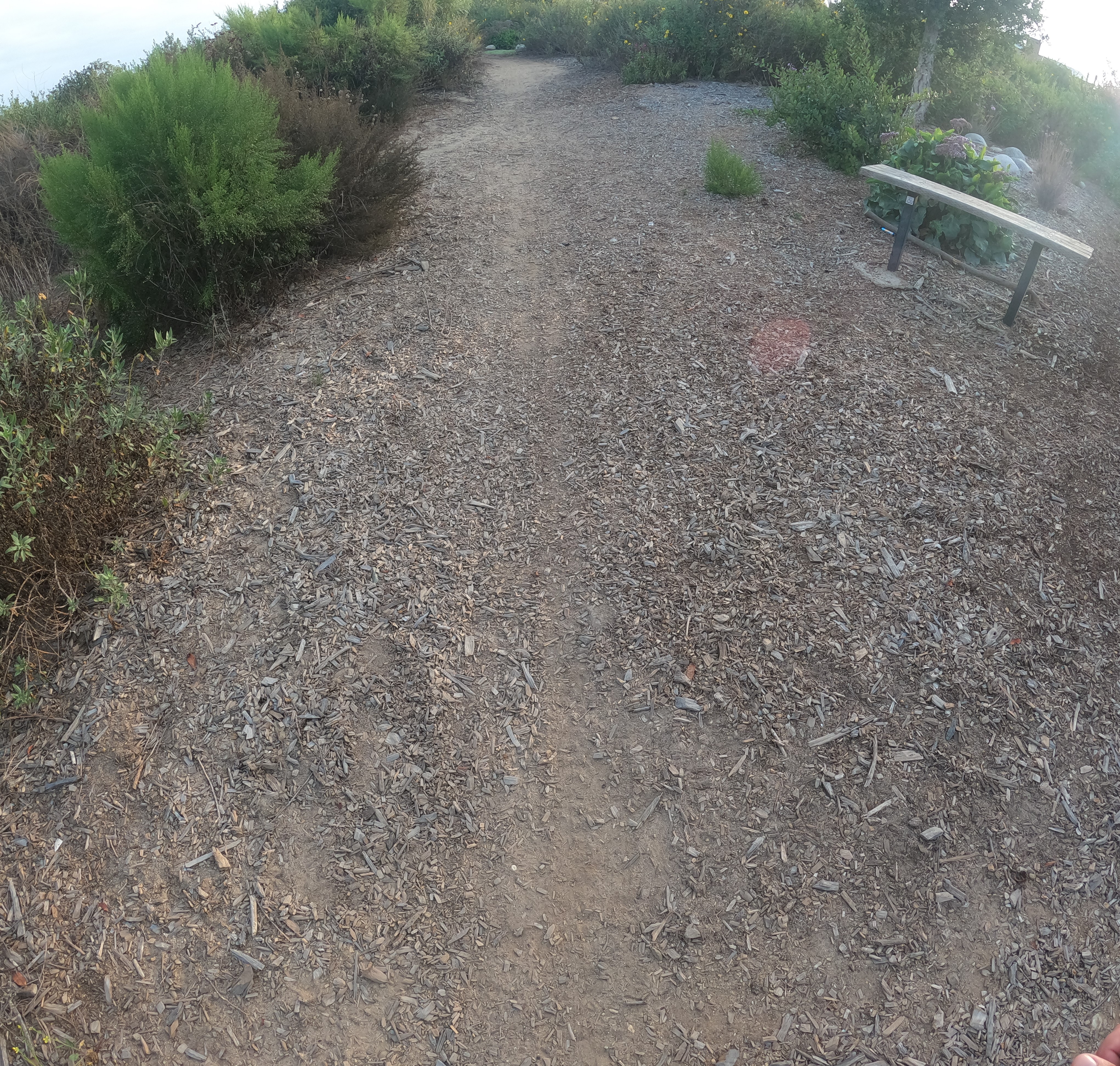 Wood Chip Trail, Harriett M. Wieder Regional Park, Huntington Beach, California