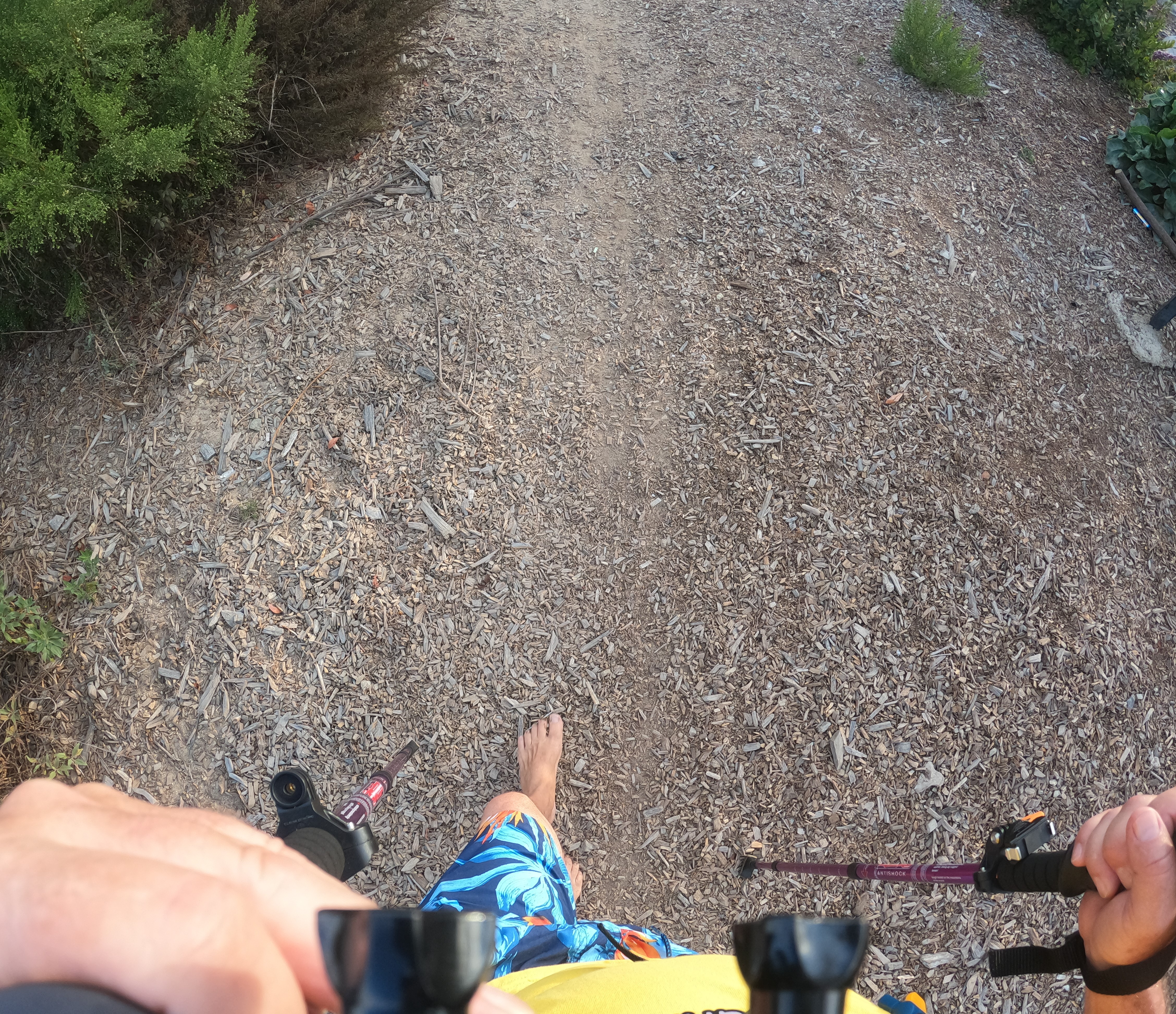 Ken Bob's Bare Feet on Wood Chip Trail, Harriett M. Wieder Regional Park, Huntington Beach, California