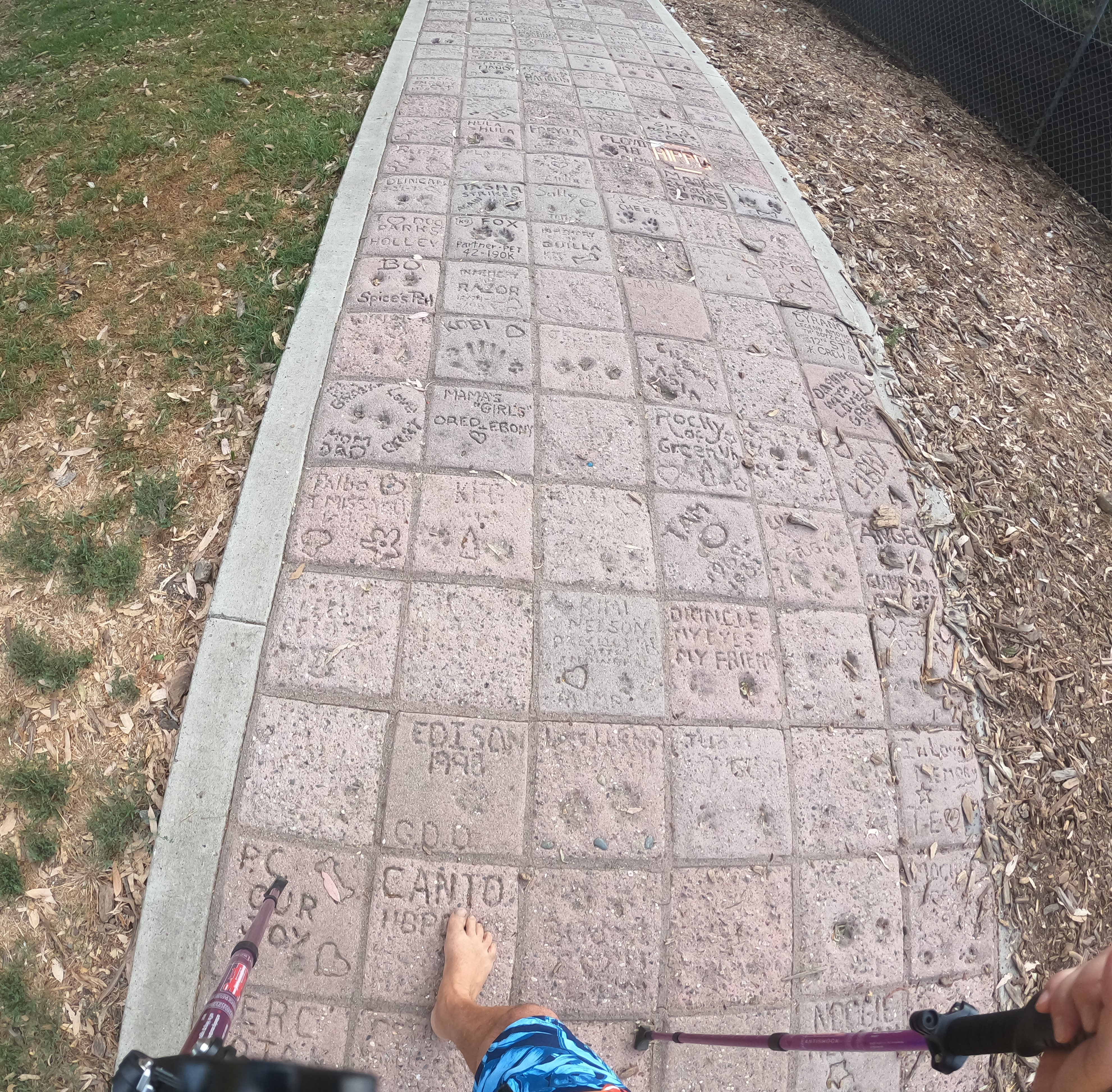 Dog Brick Trail, Dog Park, Huntington Beach, California